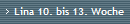 Lina 10. bis 13. Woche